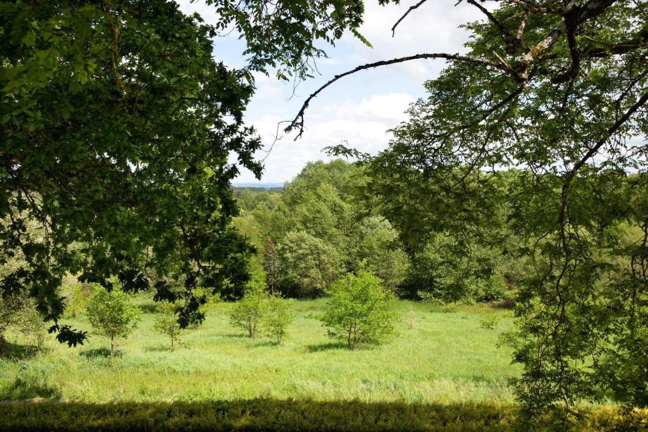 Casa Quinta De Cecil Villalba, Lugo Vilalba Dış mekan fotoğraf